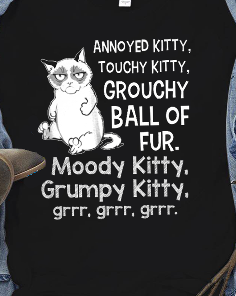 Annoyed Kitty Touchy Kitty Grouchy Ball Of Fur Moody Kitty Grumpy Kitty ...